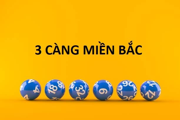 Soi cau 3 cang mien bac