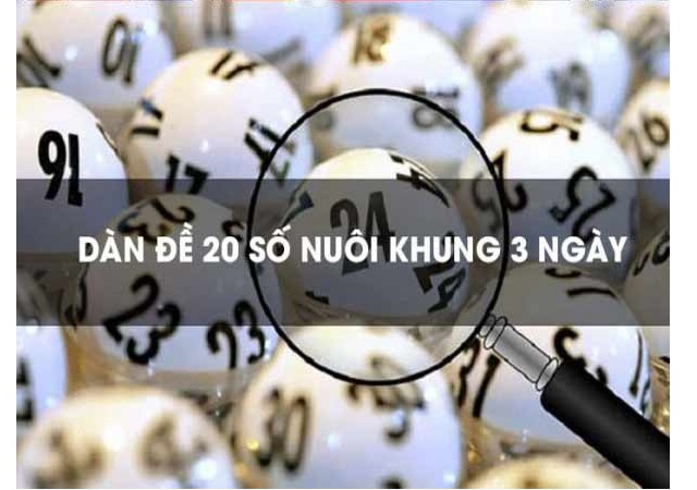 nuôi dàn 20 số khung 3 ngày