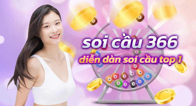 soi cau 366